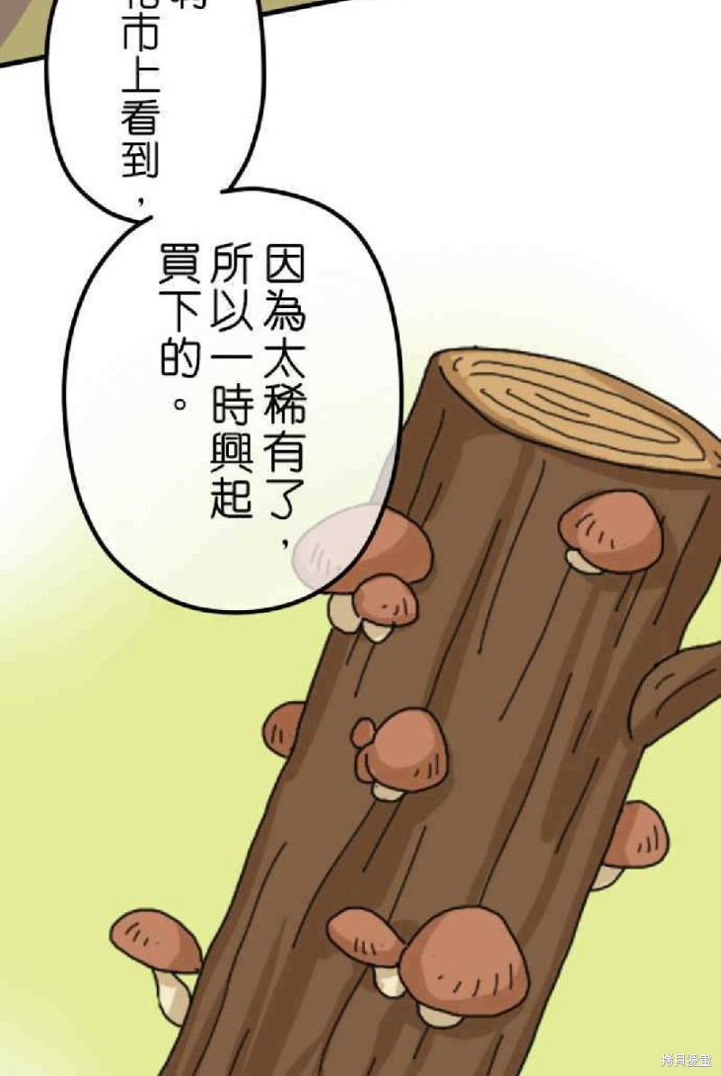 香菇君，你在做什么? 第2话 第7页