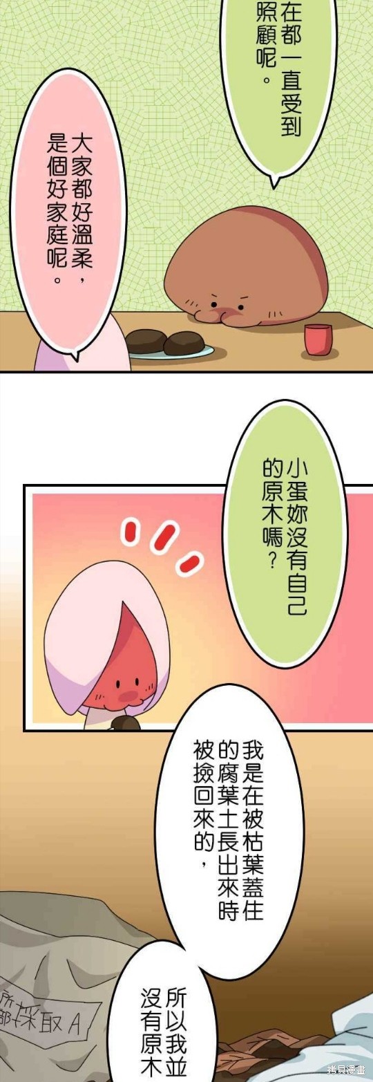 香菇君，你在做什么? 第38话 第12页