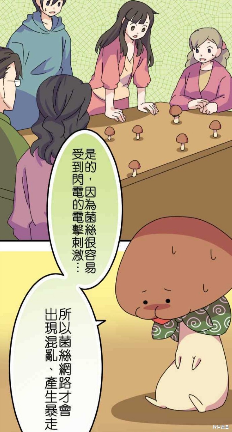 香菇君，你在做什么? 第50话 第15页