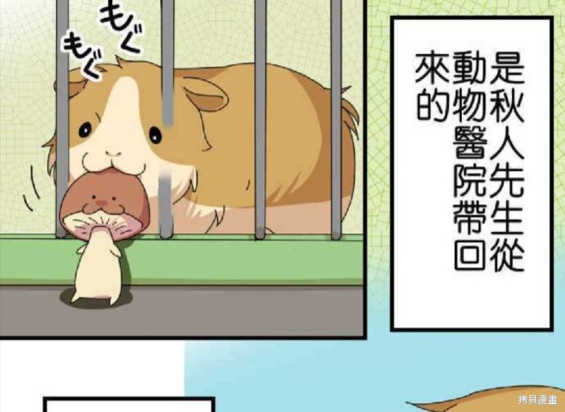 香菇君，你在做什么? 第61话 第71页