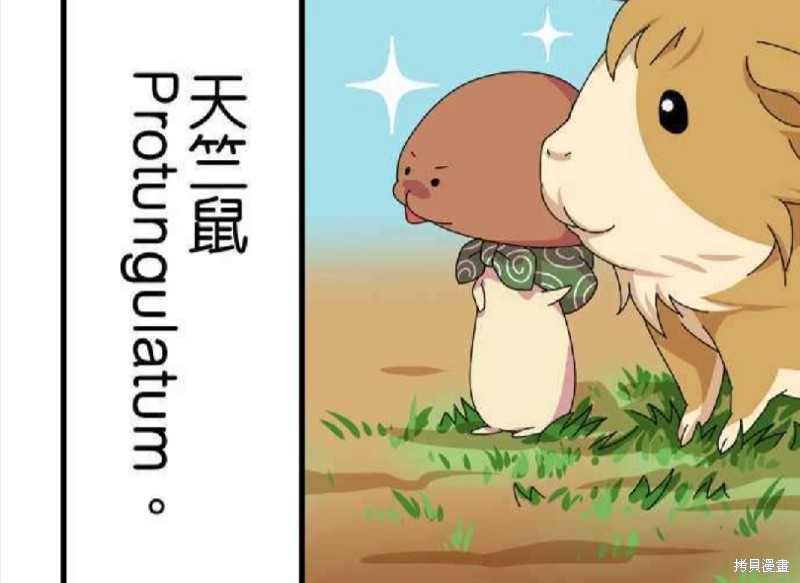 香菇君，你在做什么? 第61话 第72页