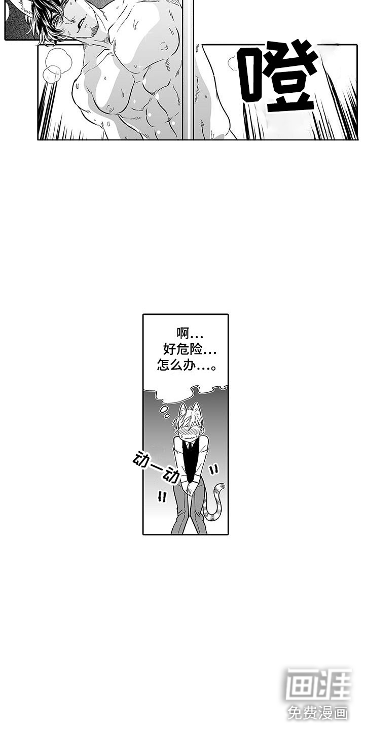 我的小奶猫 第7话 第18页