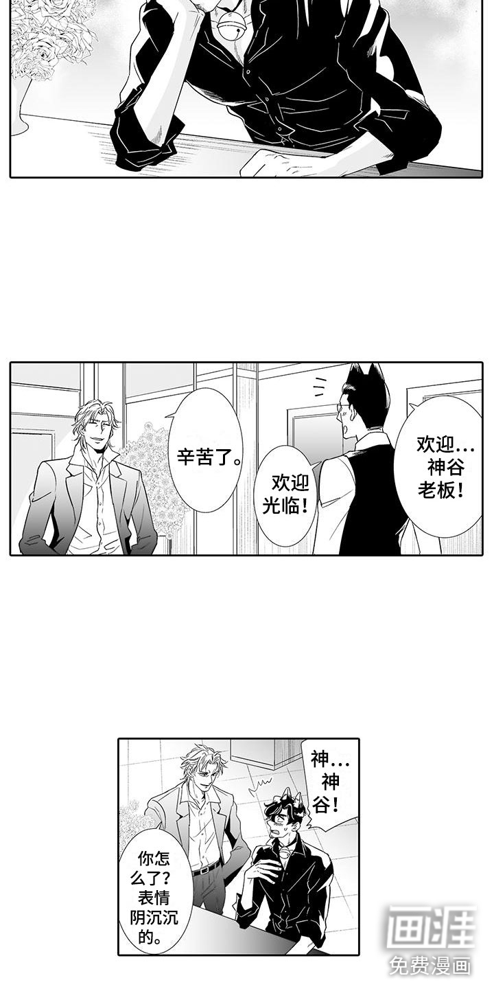 我的小奶猫 第18话 第2页