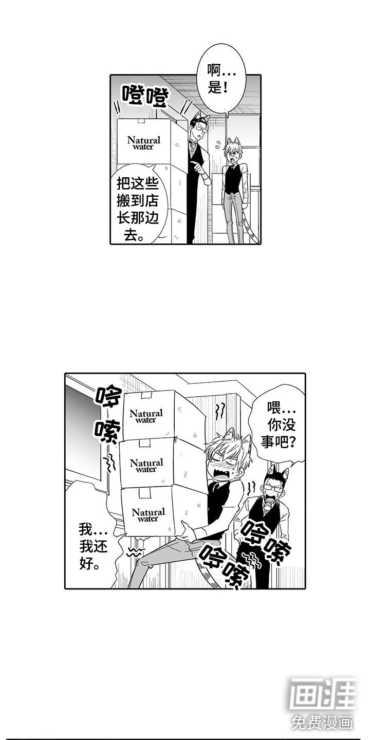 我的小奶猫 第16话 第3页