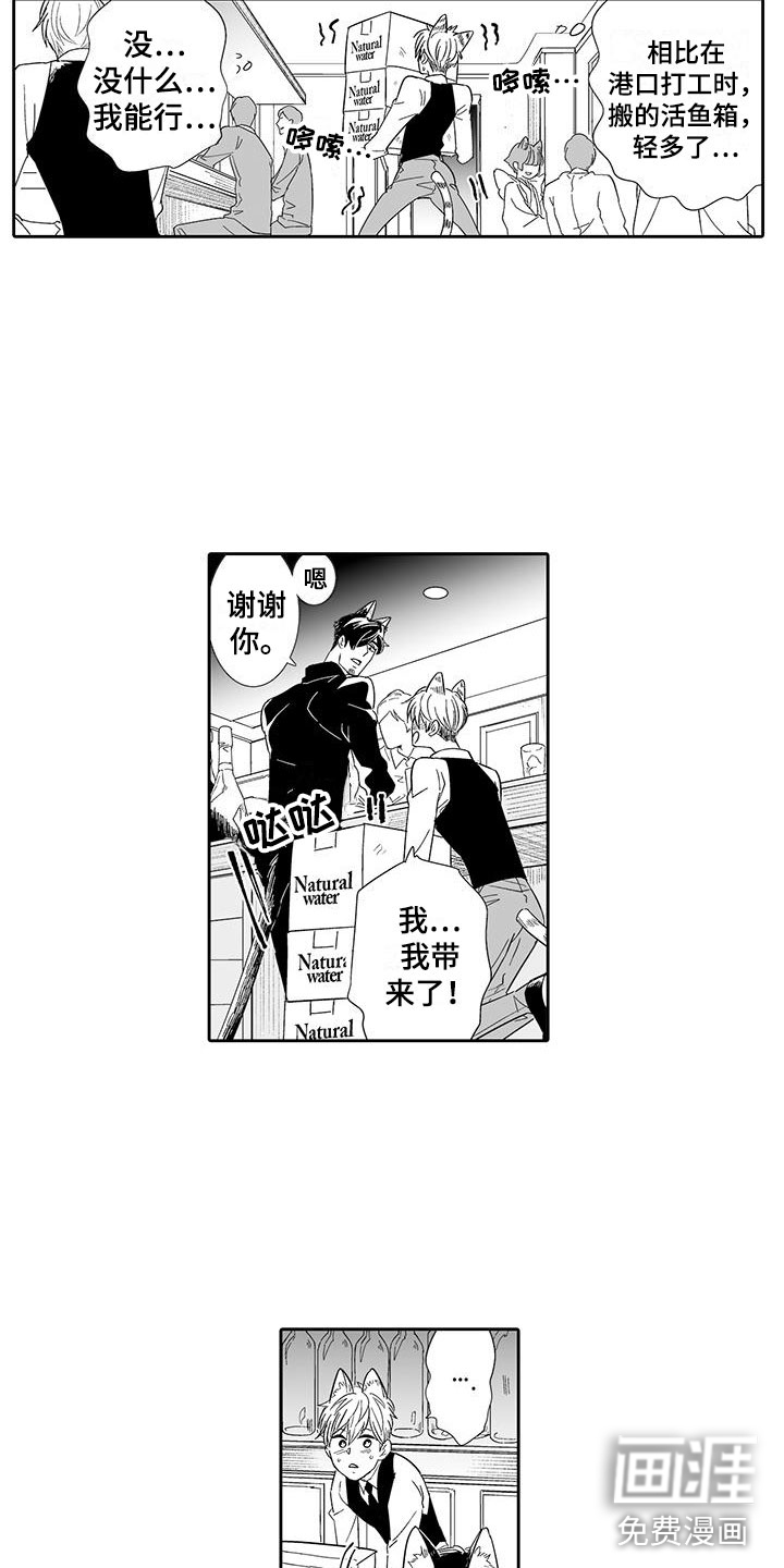 我的小奶猫 第16话 第4页