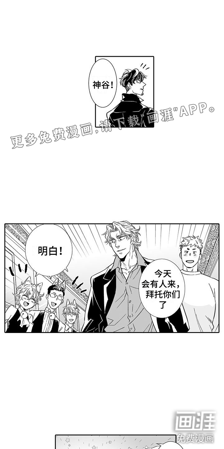 我的小奶猫 第13话 第2页