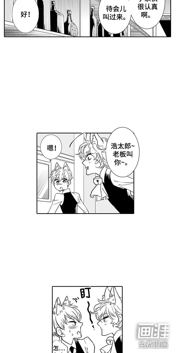 我的小奶猫 第13话 第5页