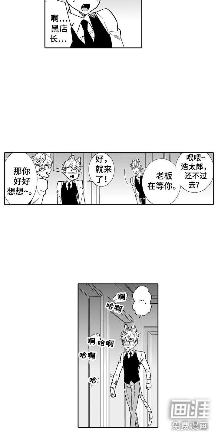 我的小奶猫 第13话 第8页