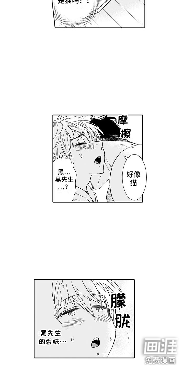 我的小奶猫 第10话 第11页