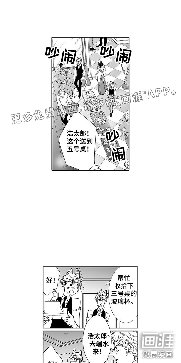我的小奶猫 第7话 第1页