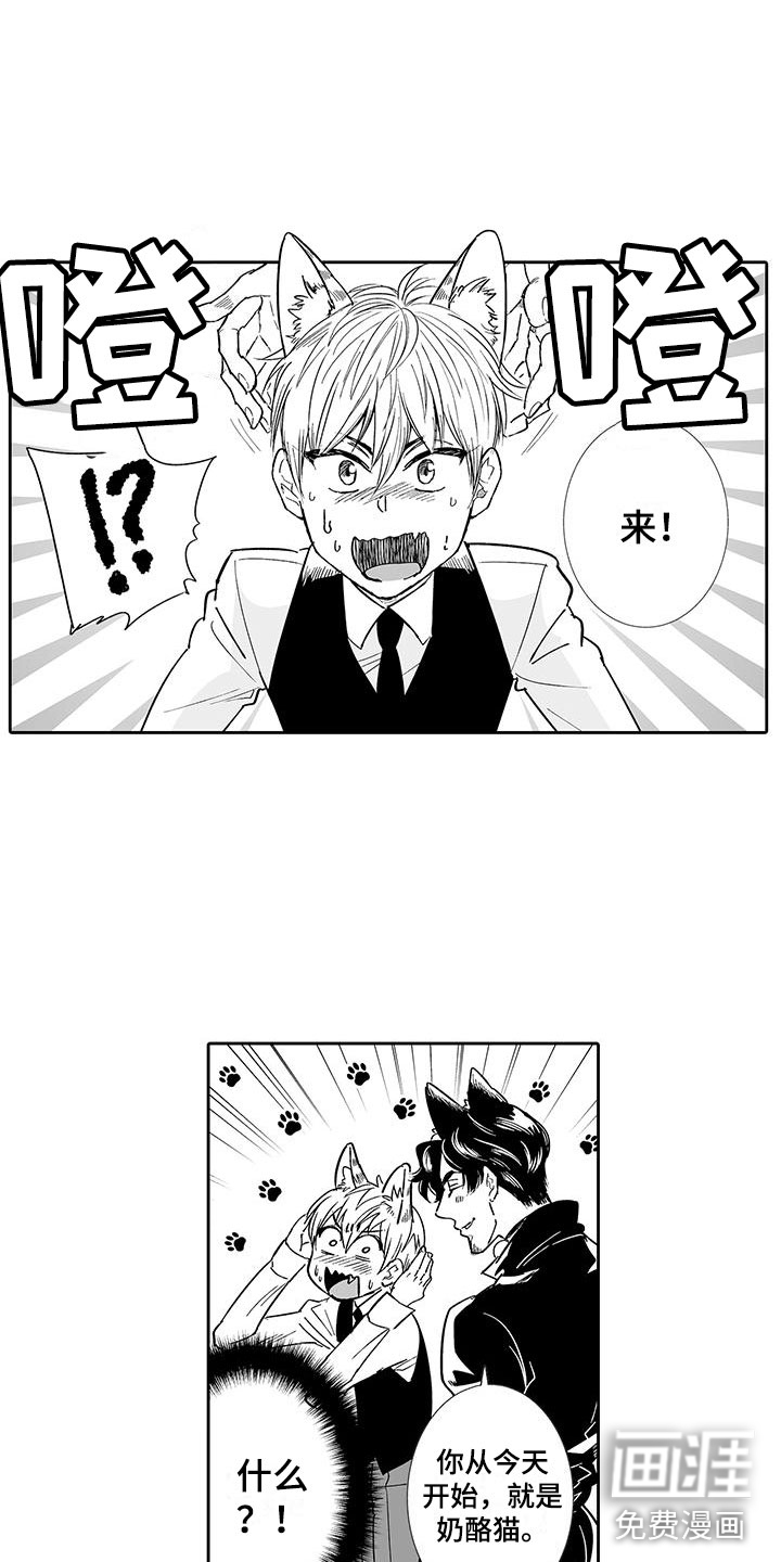 我的小奶猫 第6话 第7页