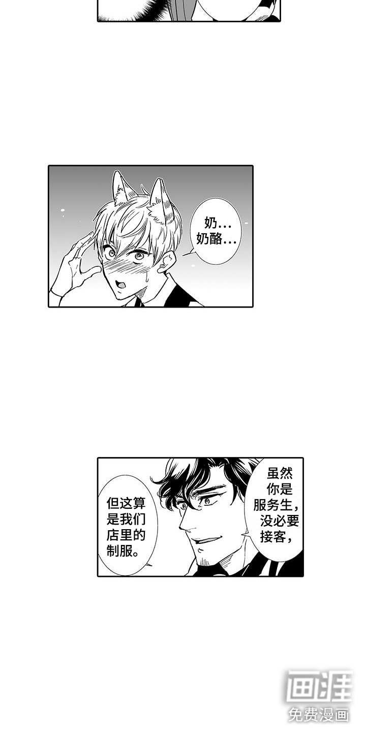 我的小奶猫 第6话 第8页