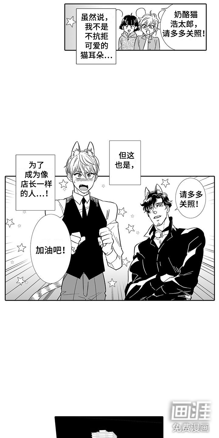我的小奶猫 第6话 第9页