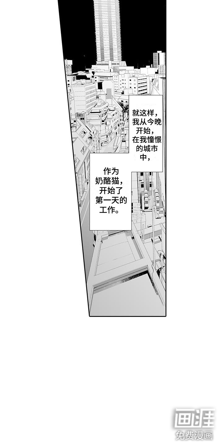 我的小奶猫 第6话 第10页