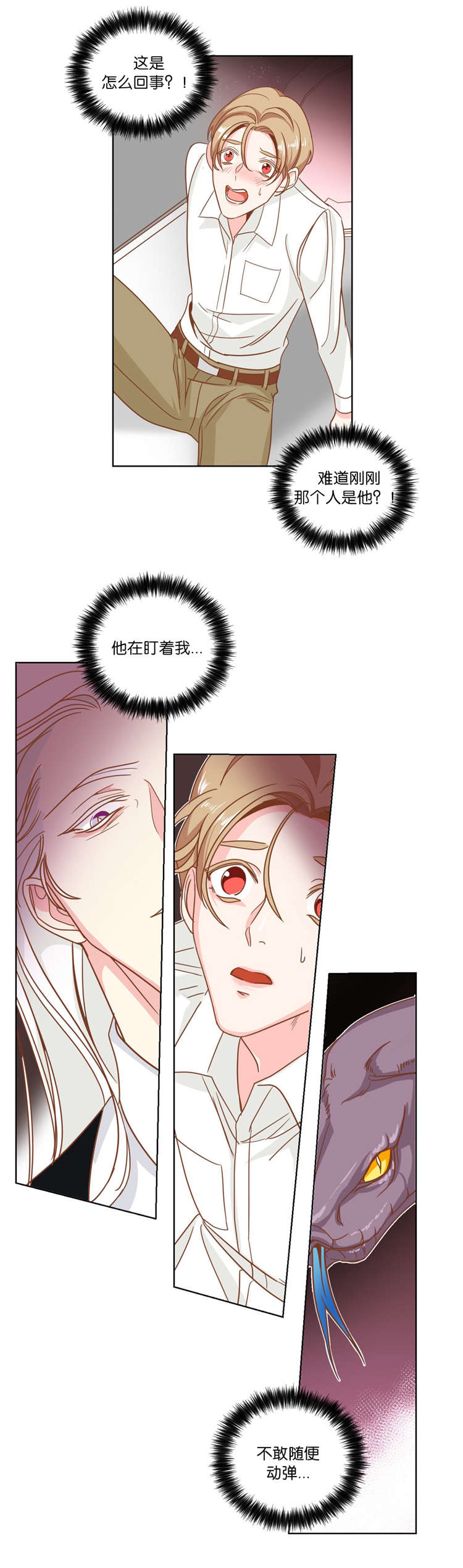 蛇族烙印 第12章：陪同 第1页