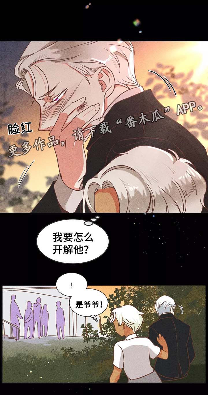 蛇族烙印 第94章:过去的记忆 第8页