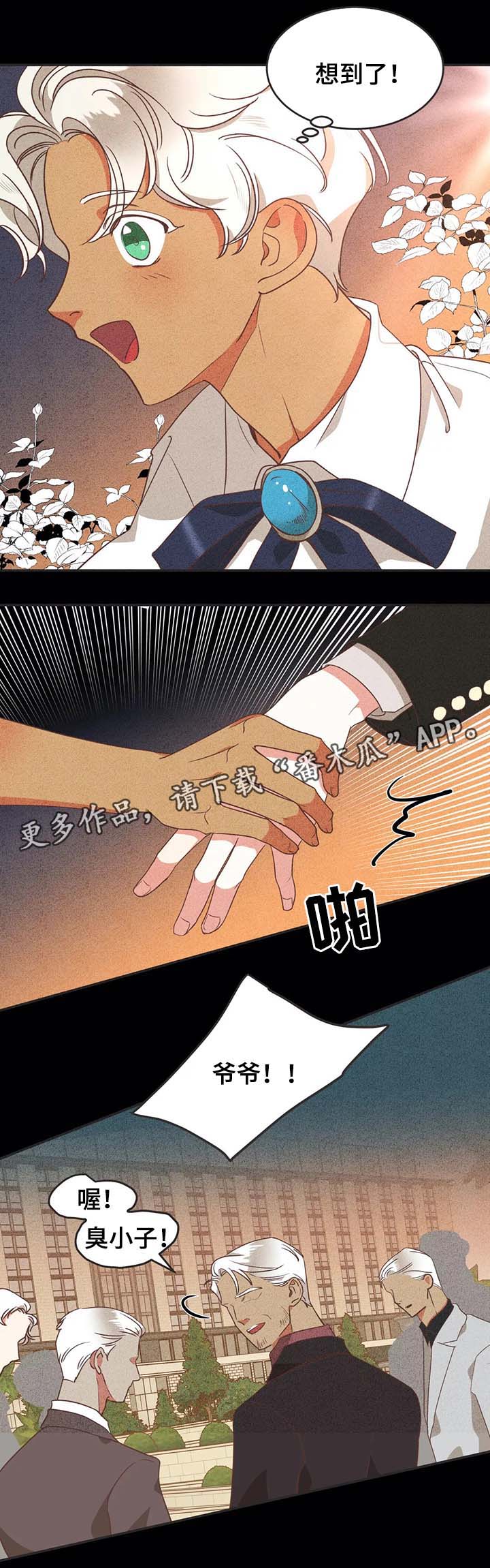 蛇族烙印 第94章:过去的记忆 第9页