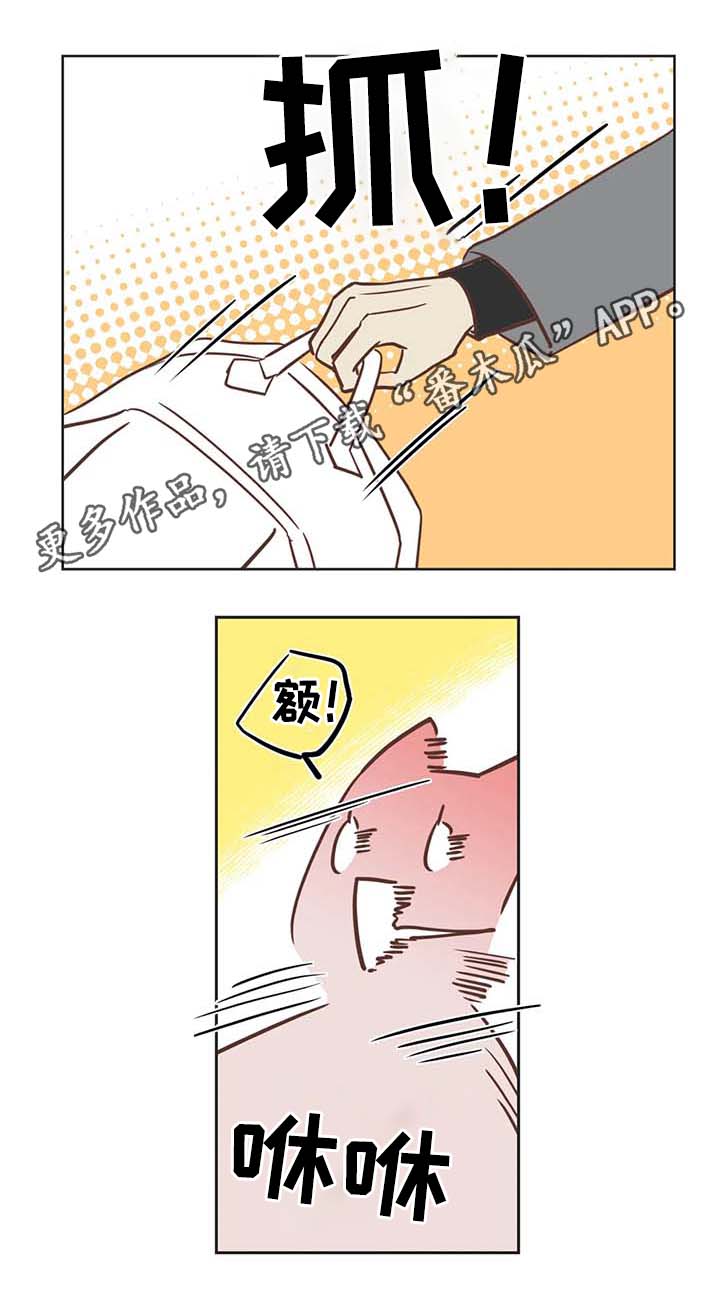 蛇族烙印 第104章：冤大头 第3页