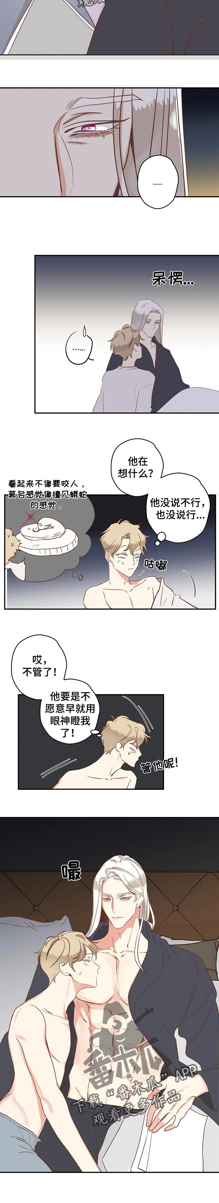 蛇族烙印 第151章：归处在哪里 第9页
