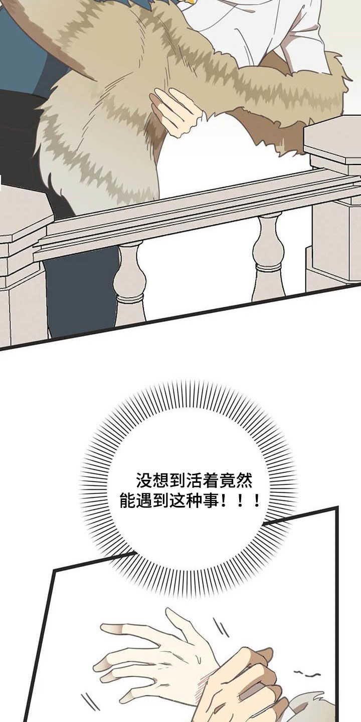 蛇族烙印 第175章：【番外】骚扰 第25页