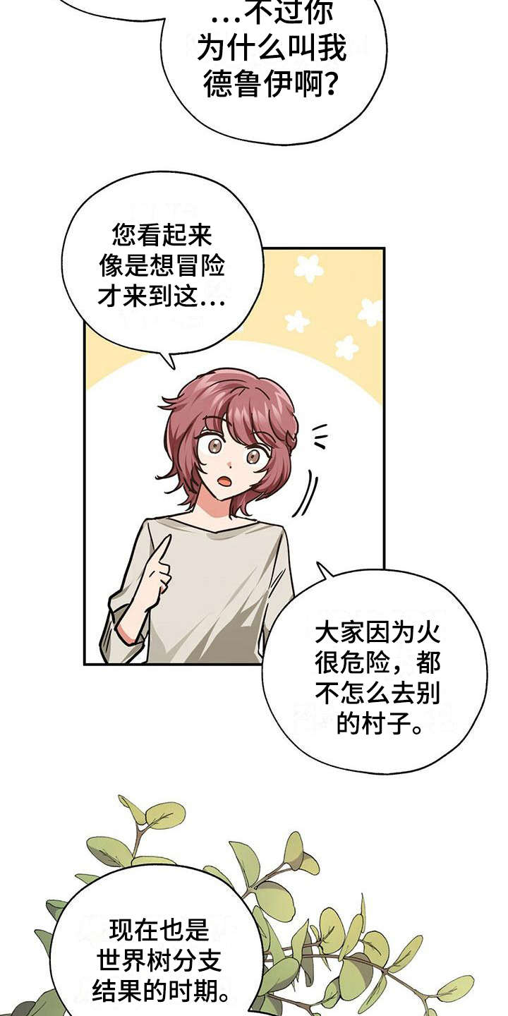 无限钻石 第6章:德鲁伊 第11页