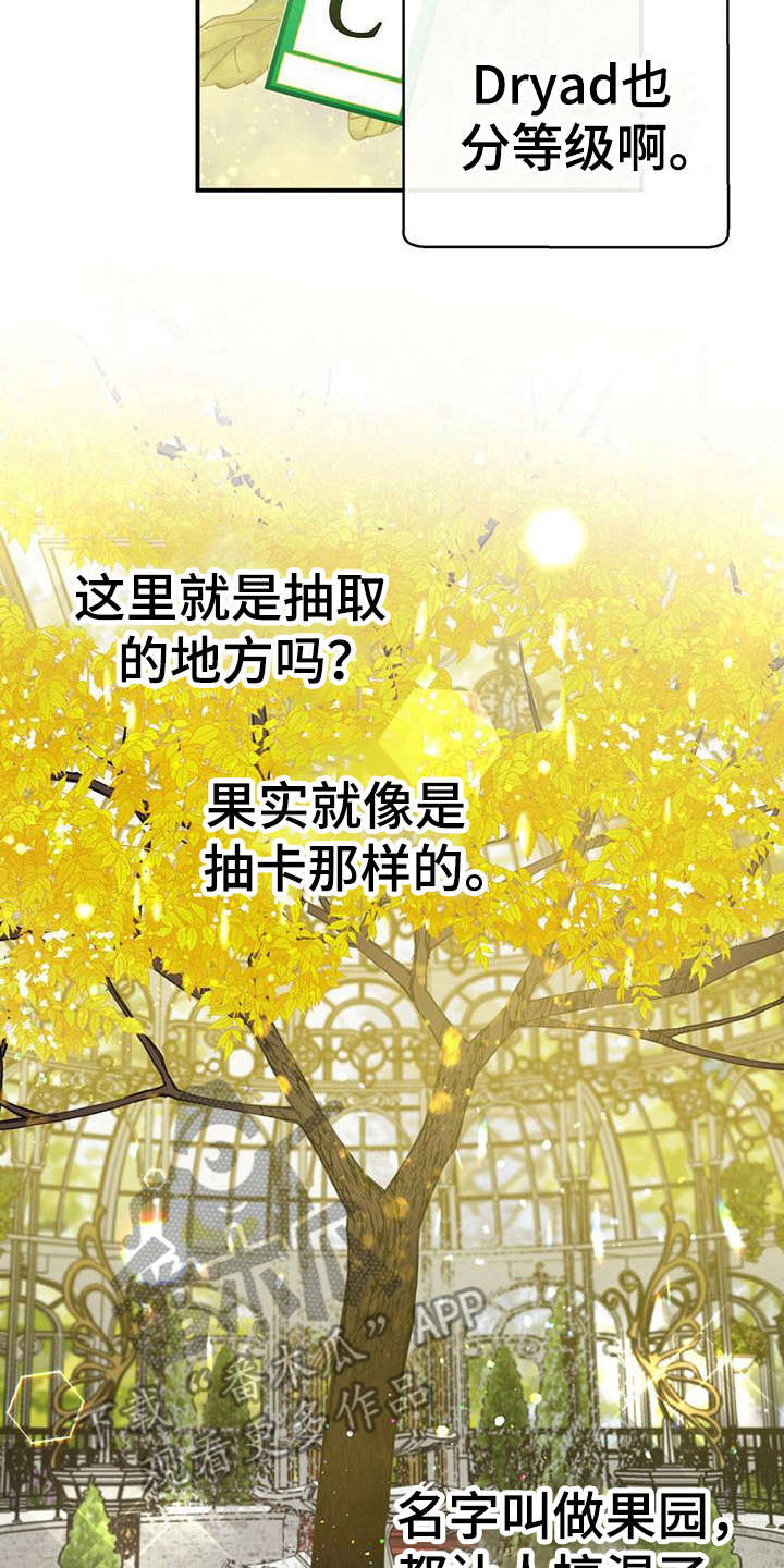 无限钻石 第12章:果园 第13页