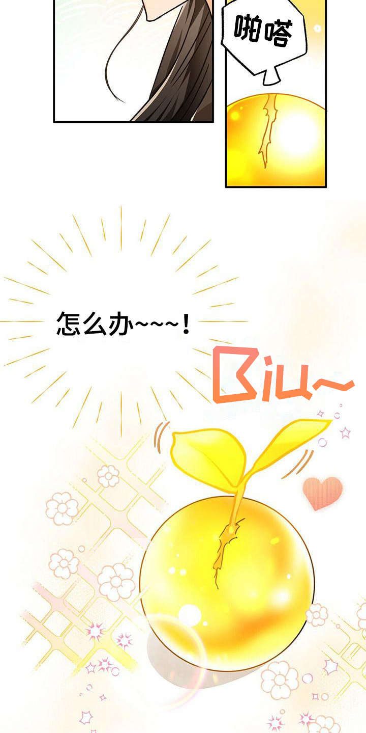 无限钻石 第16章:珍稀 第6页
