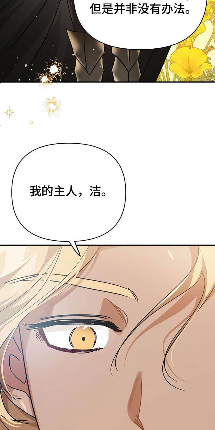 无限钻石 第29章:寻找小雏菊 第2页