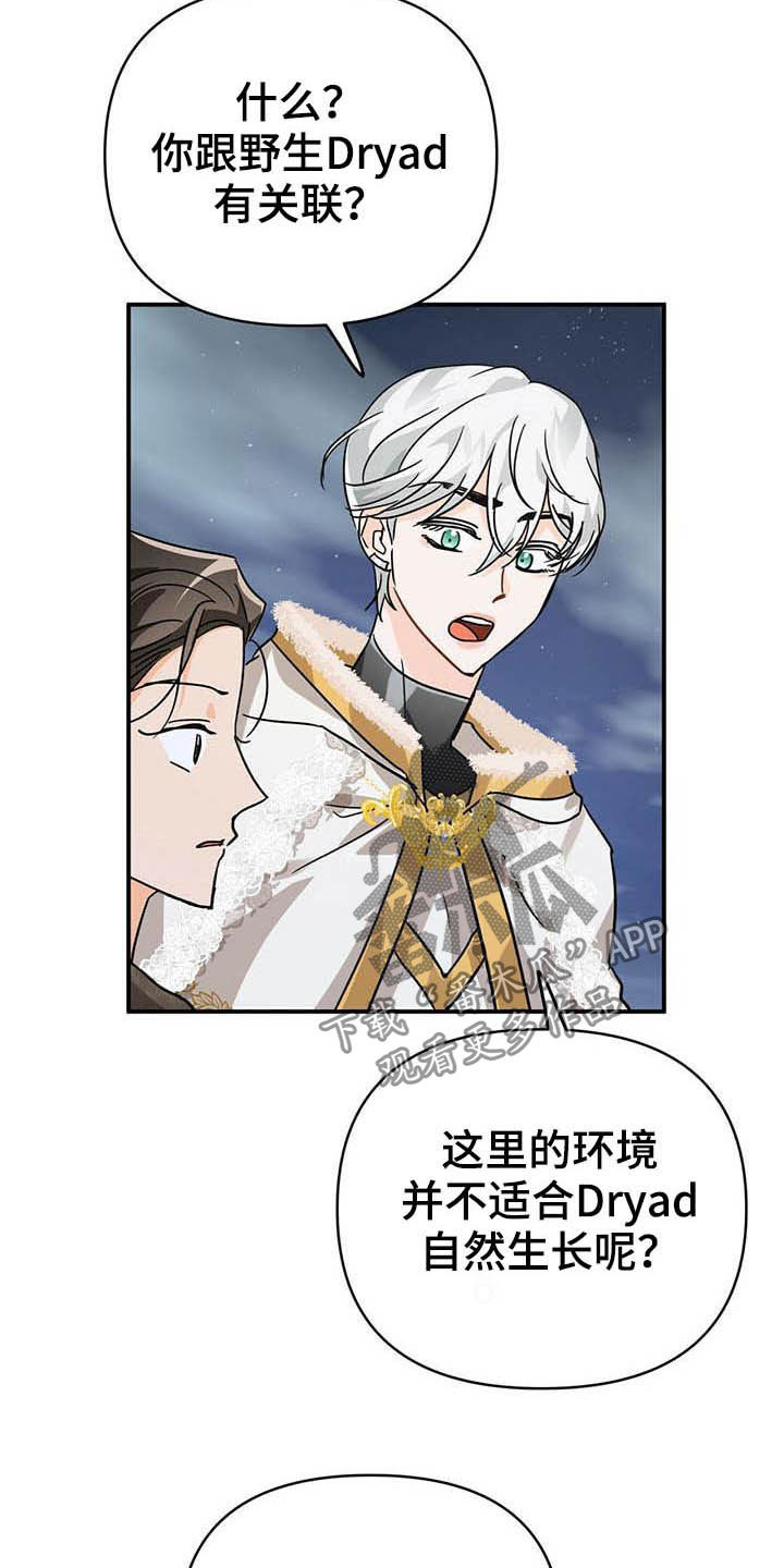无限钻石 第30章:冤家路窄 第13页