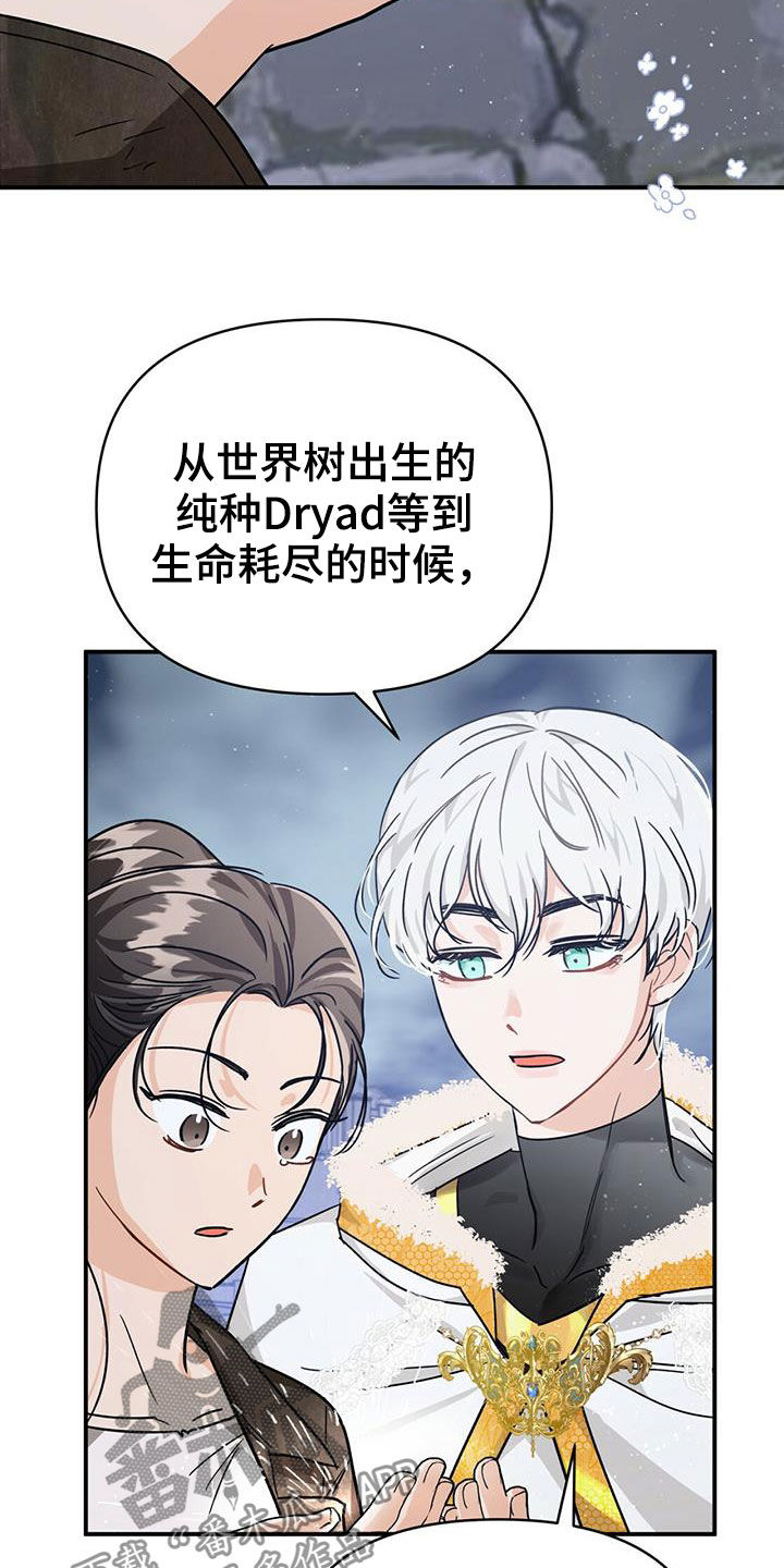 无限钻石 第34章:希望 第7页