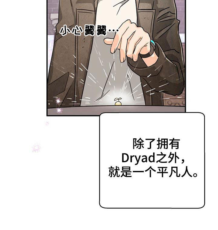无限钻石 第35章:温室 第12页