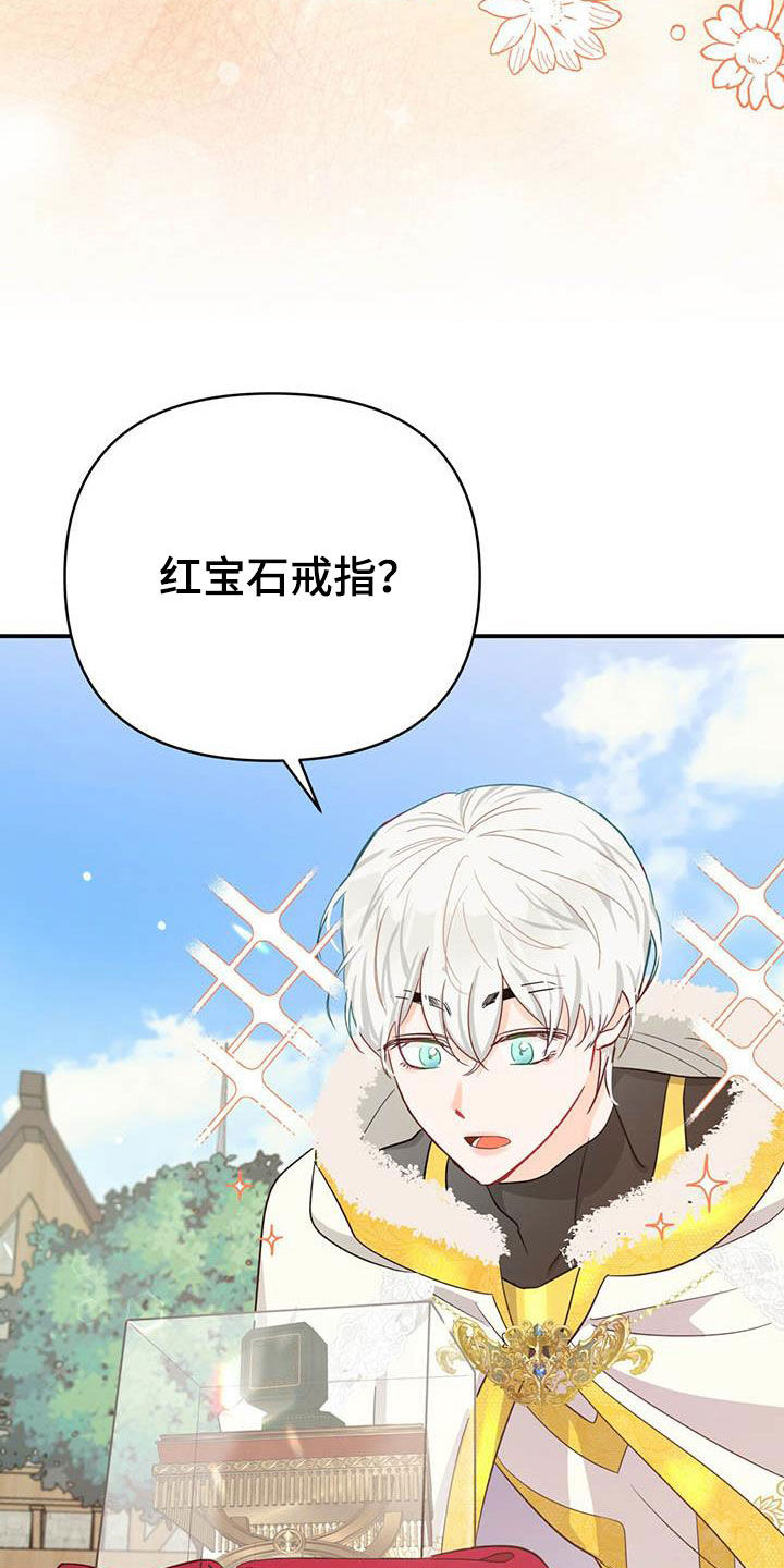 无限钻石 第39章:限定戒指 第27页