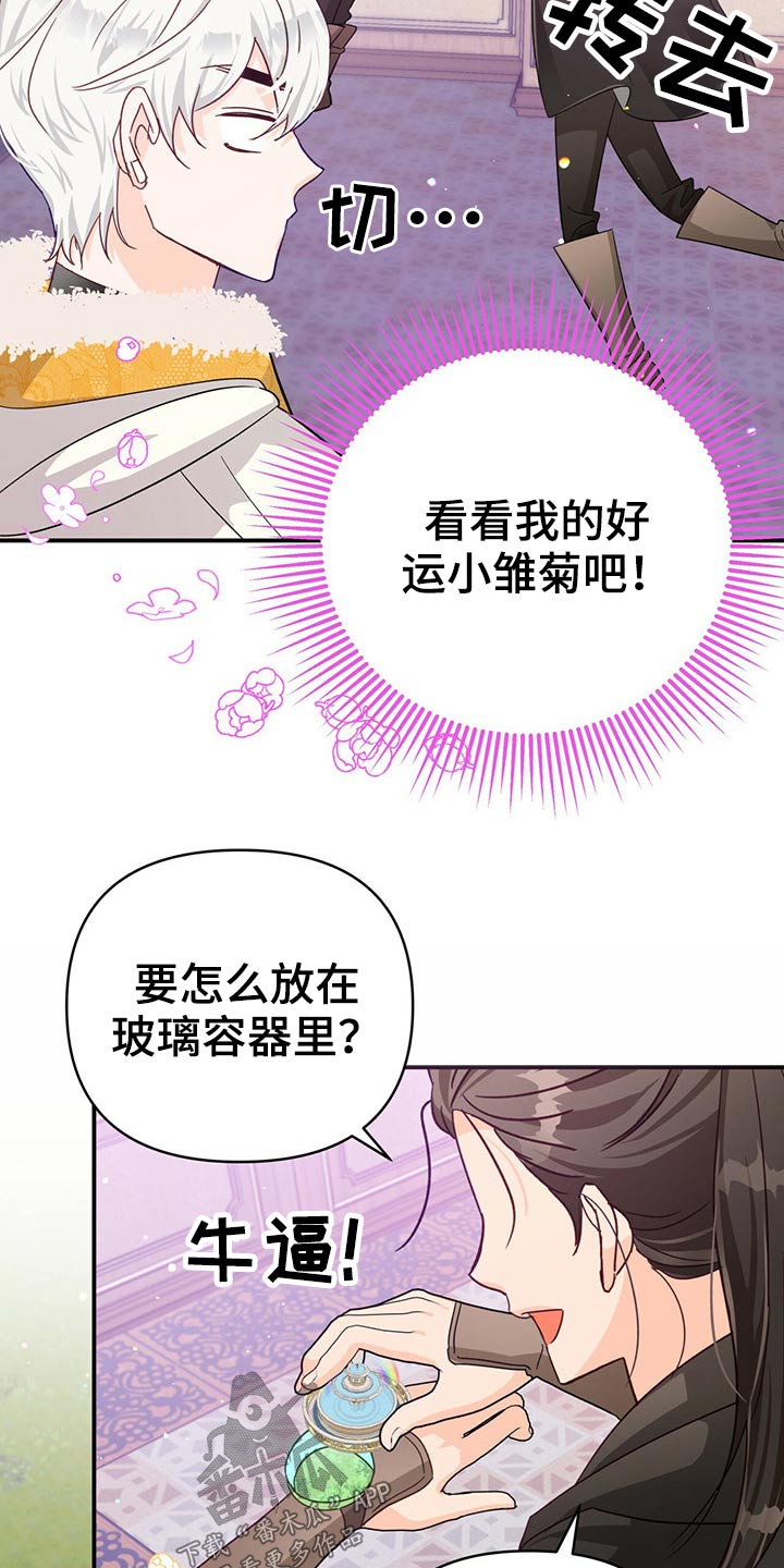 无限钻石 第42章:我的幸运 第5页