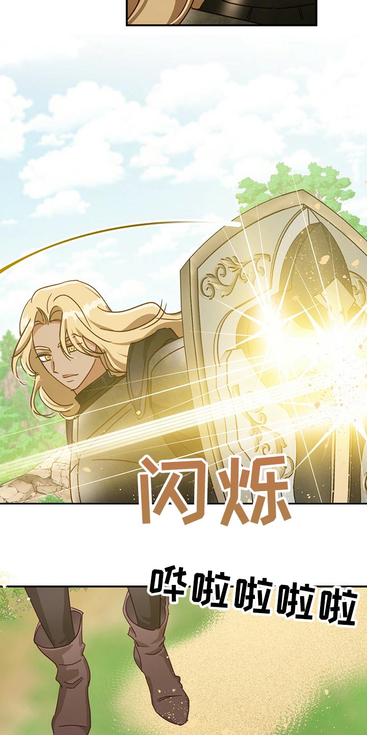 无限钻石 第47章:开始战斗 第10页