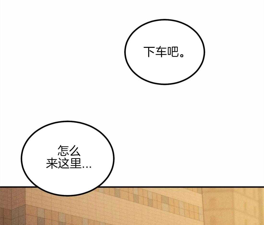 被迫与总裁营业 第18话 我很兴奋 第48页