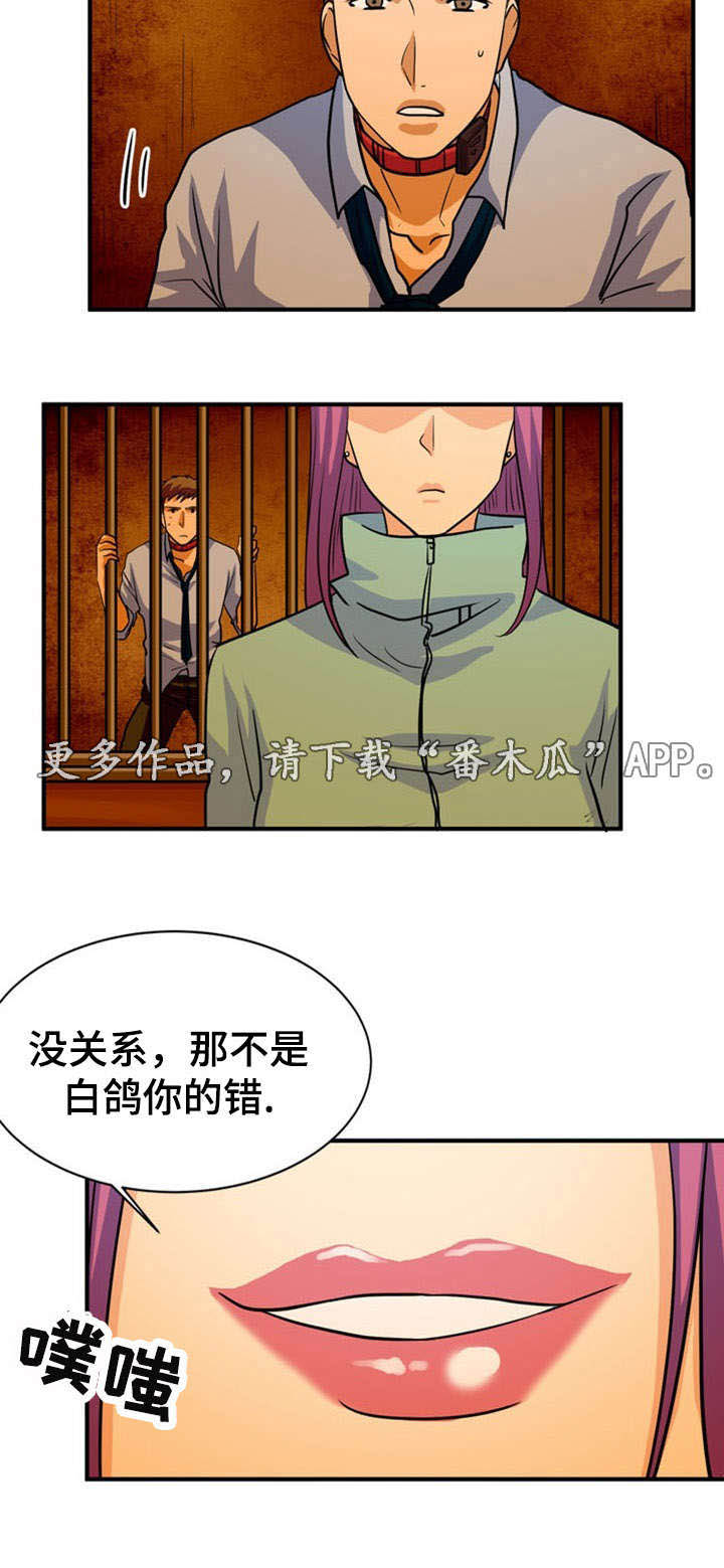 孤岛游魂 第24章:建议 第4页