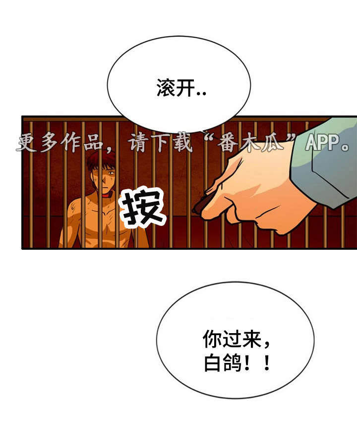 孤岛游魂 第24章:建议 第6页