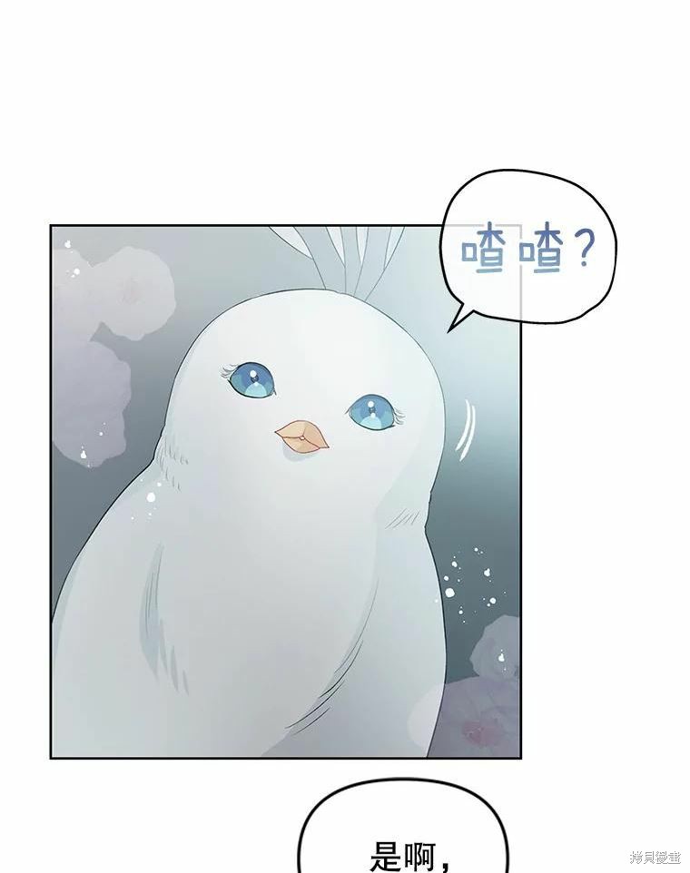 请不要把情感托付于书中 第35话 第6页