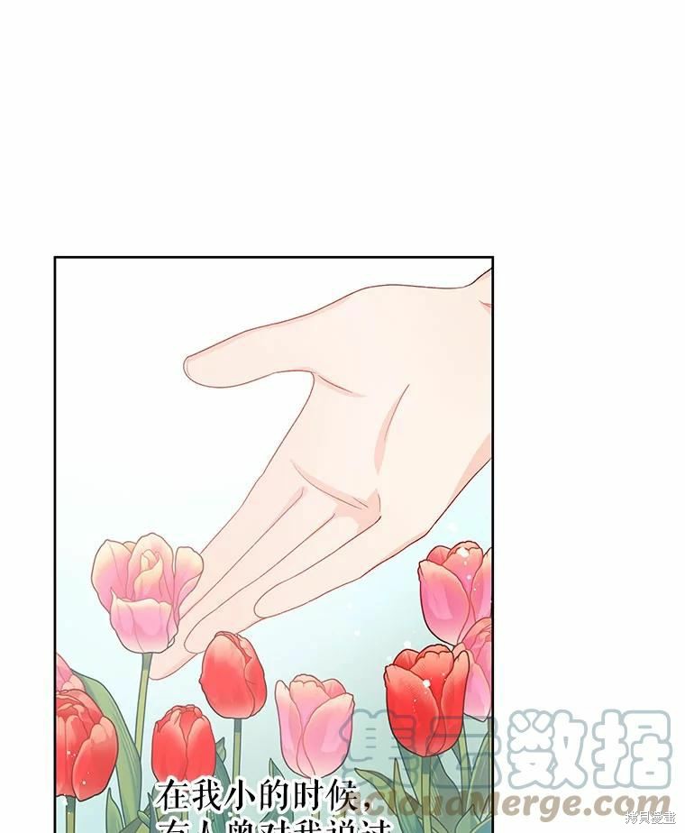 请不要把情感托付于书中 第41话 第15页