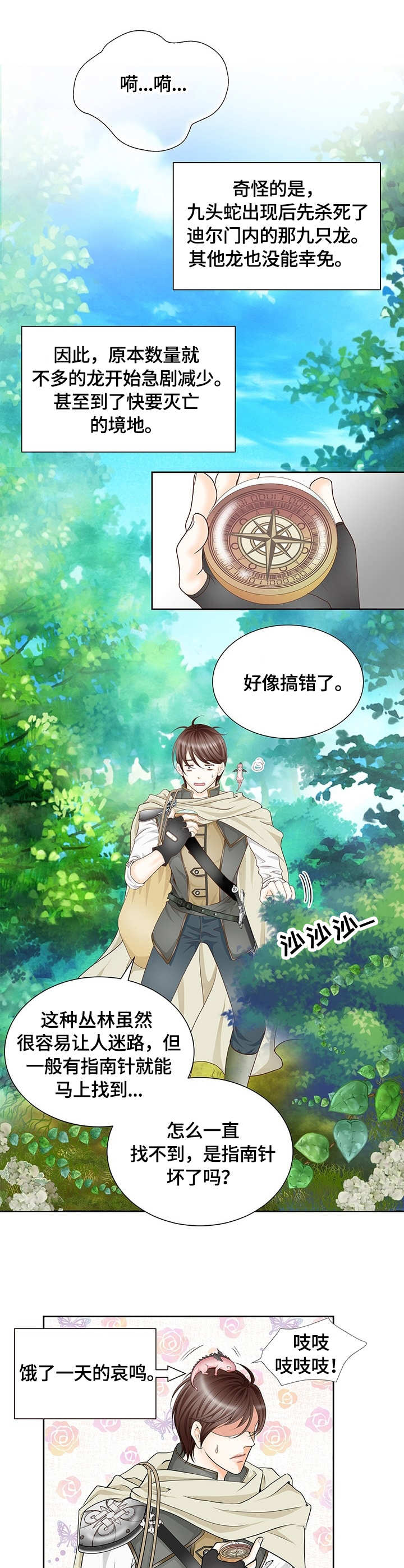 玲珑之心 第1章：幼龙 第5页