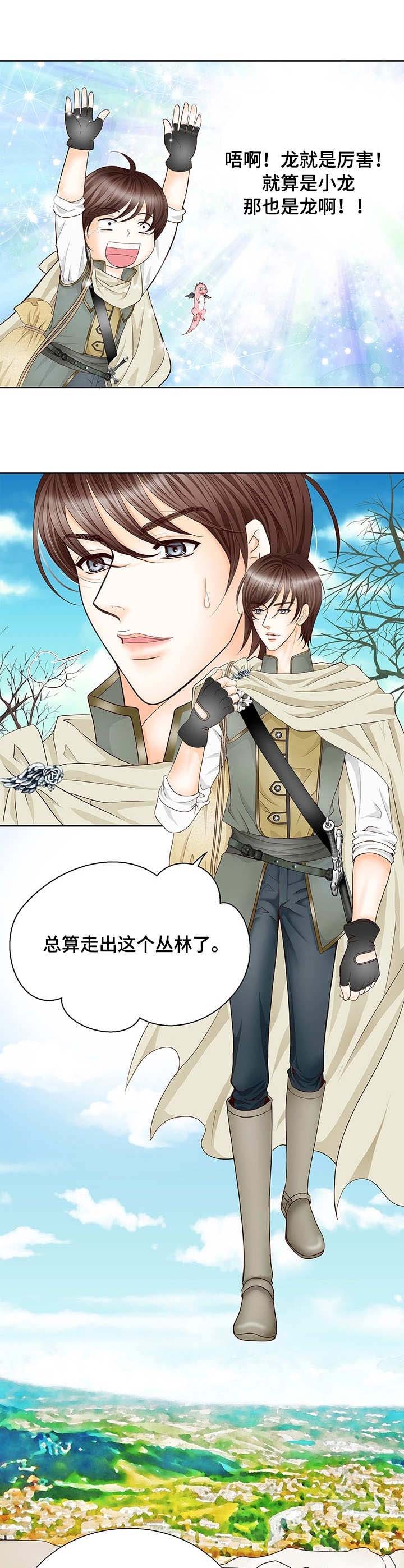 玲珑之心 第1章：幼龙 第9页