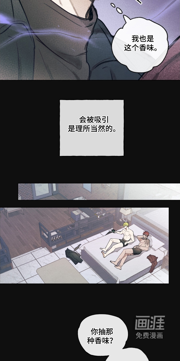 我的完美男友 第33话 第5页