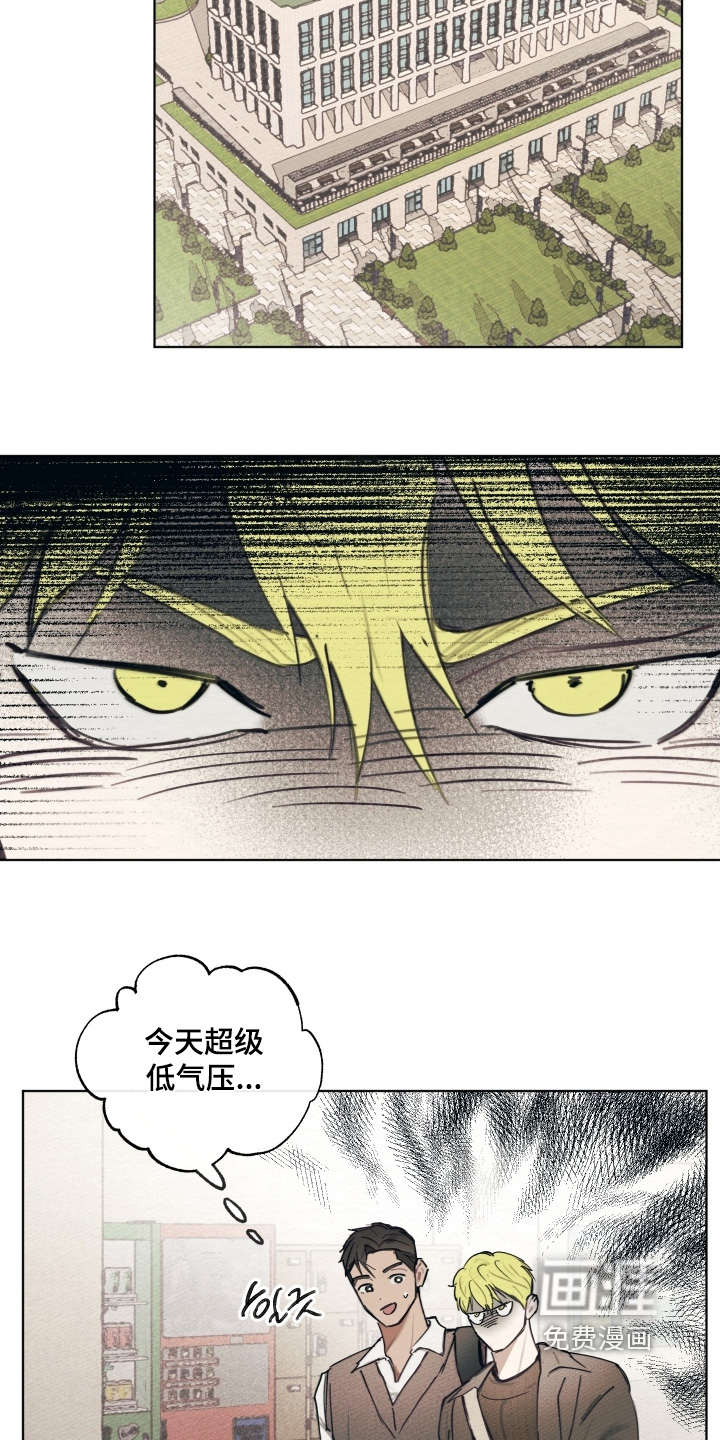 我的完美男友 第31话 第16页